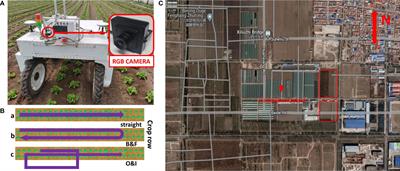 LettuceMOT: A dataset of lettuce detection and tracking with re-identification of re-occurred plants for agricultural robots